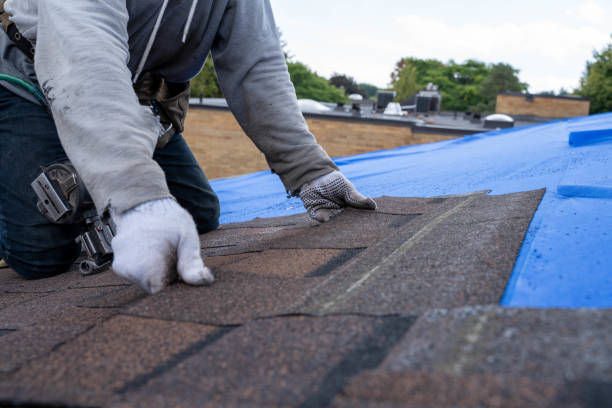 Quick and Trustworthy Emergency Roof Repair Services in Fortuna, CA