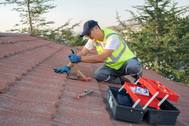 Best Roof Inspection Near Me  in Fortuna, CA